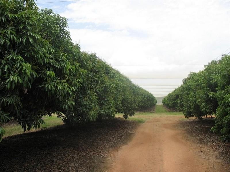123 SEYMOUR Road, South Yaamba QLD 4702