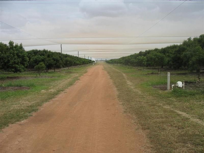 123 SEYMOUR Road, South Yaamba QLD 4702