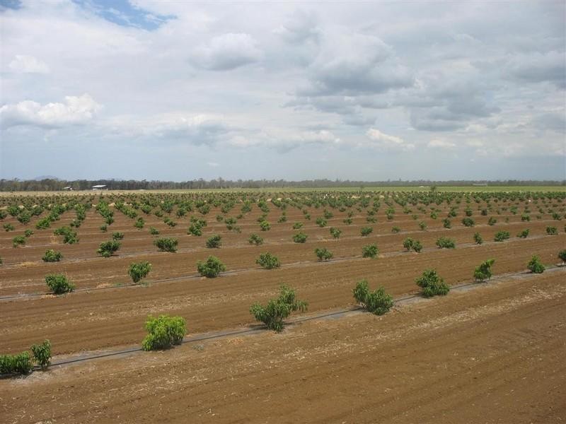 123 SEYMOUR Road, South Yaamba QLD 4702