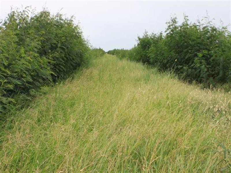 638 Yarra Road, Gogango QLD 4702