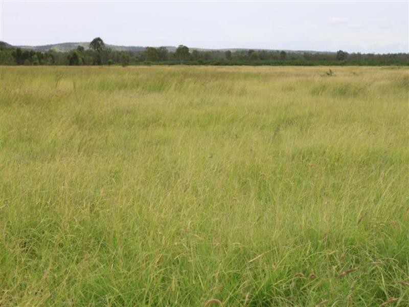 638 Yarra Road, Gogango QLD 4702