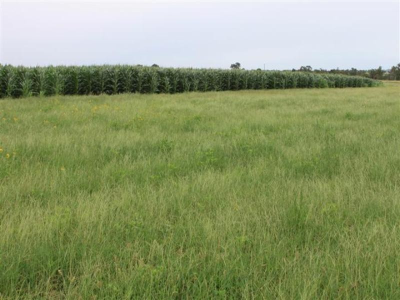 638 Yarra Road, Gogango QLD 4702