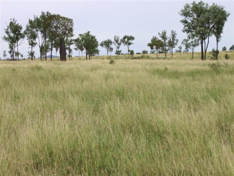 638 Yarra Road, Gogango QLD 4702