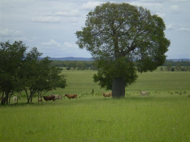 3675 Moura-Baralaba Road, Baralaba QLD 4702