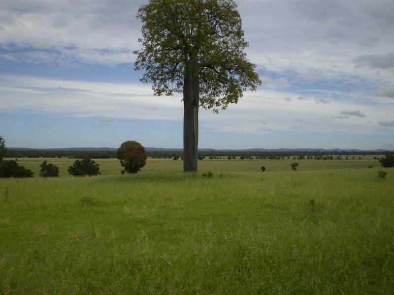 3675 Moura-Baralaba Road, Baralaba QLD 4702