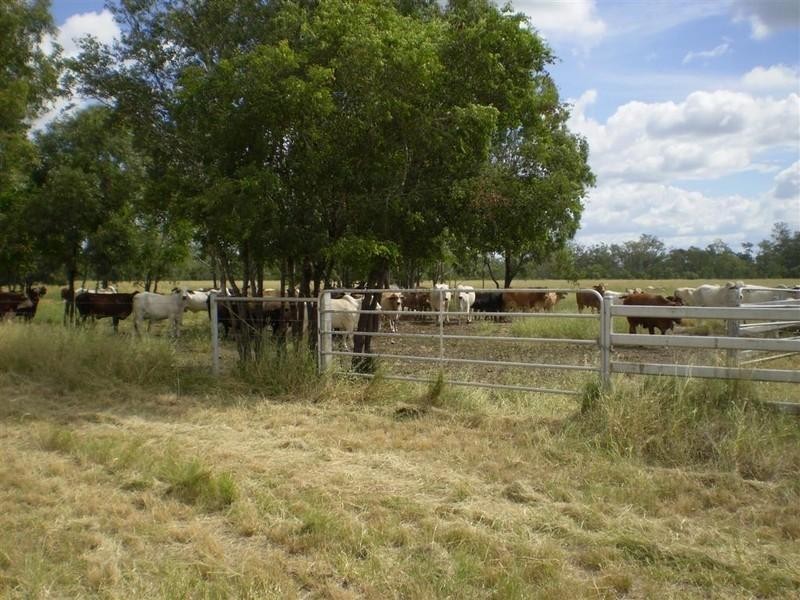 3675 Moura-Baralaba Road, Baralaba QLD 4702