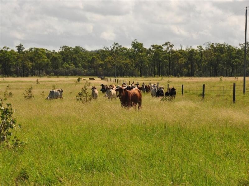 9 Atkinson Road, Yaamba QLD 4704