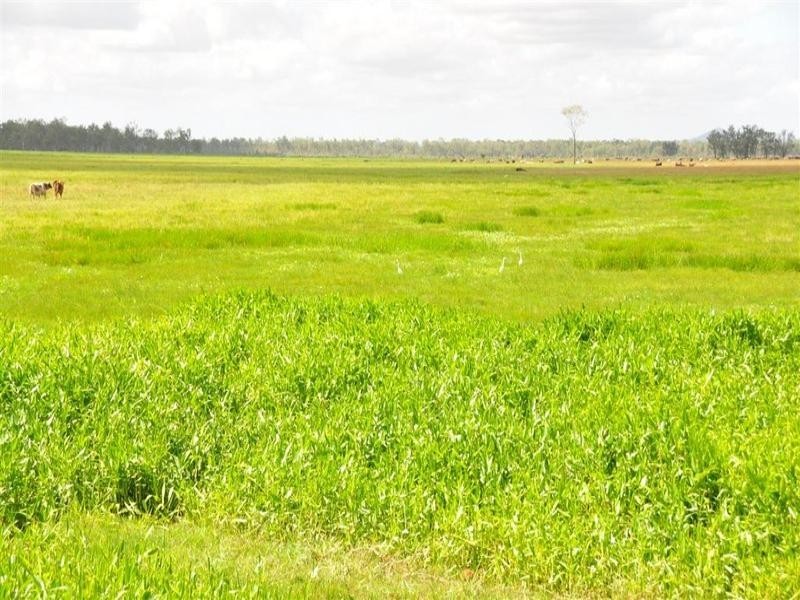 9 Atkinson Road, Yaamba QLD 4704