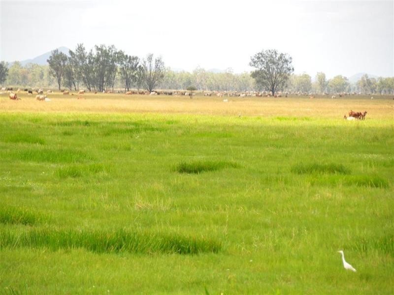 9 Atkinson Road, Yaamba QLD 4704