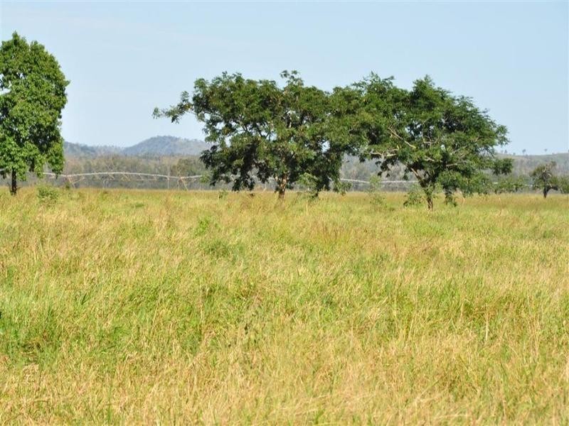 9 Atkinson Road, Yaamba QLD 4704