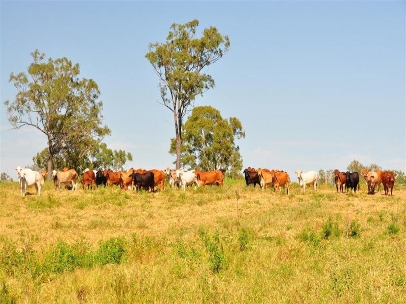 9 Atkinson Road, Yaamba QLD 4704