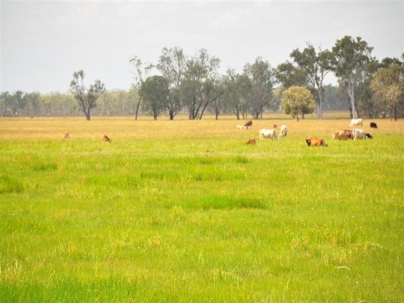 Lake Learmonth Bruce Highway, Rockhampton QLD 4700