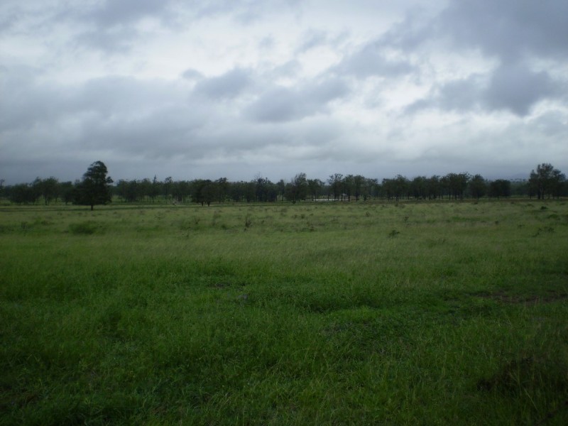 Ridgelands QLD 4702