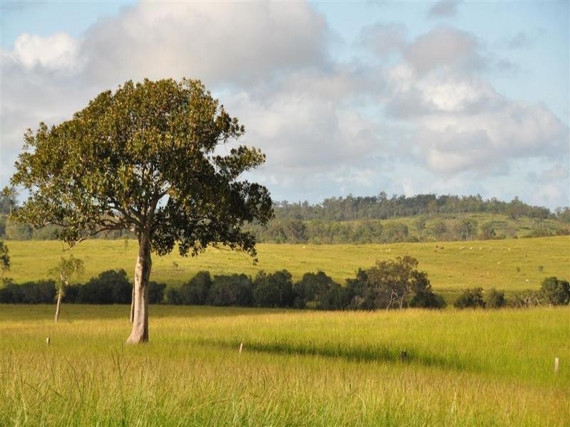 Bucca Station, Adies Road Bucca, Bundaberg QLD 4670