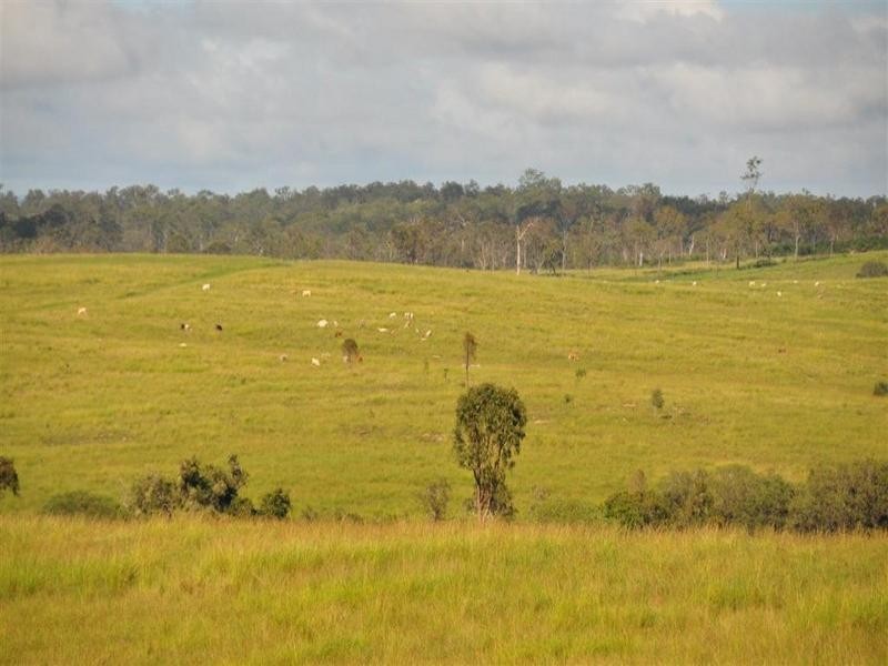 Bucca Station, Adies Road Bucca, Bundaberg QLD 4670