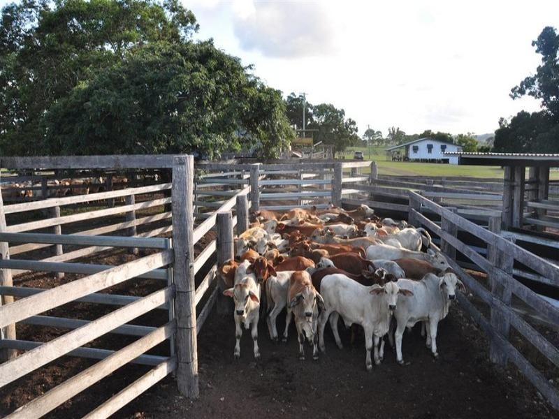 Bucca Station, Adies Road Bucca, Bundaberg QLD 4670