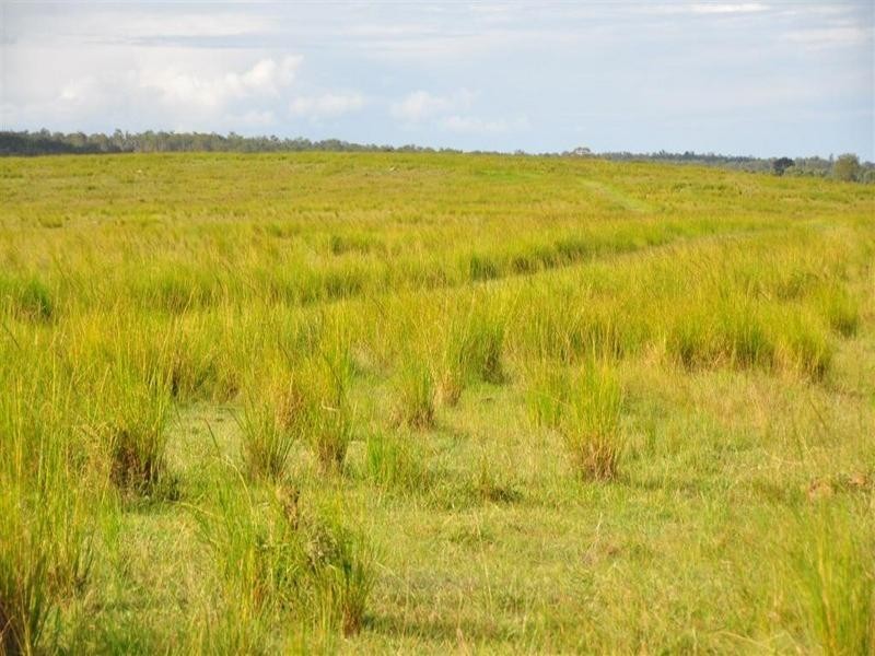 Bucca Station, Adies Road Bucca, Bundaberg QLD 4670