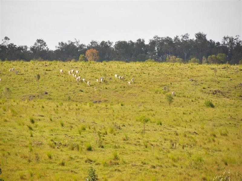 Bucca Station, Adies Road Bucca, Bundaberg QLD 4670