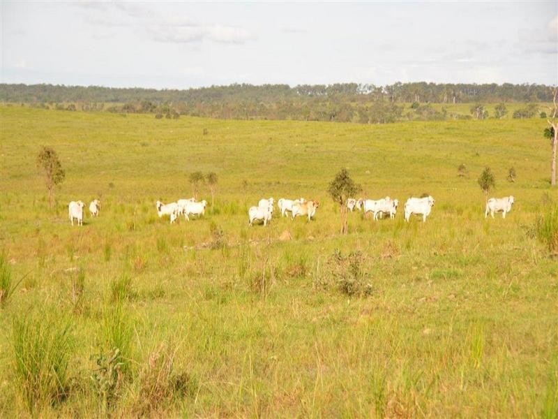 Bucca Station, Adies Road Bucca, Bundaberg QLD 4670
