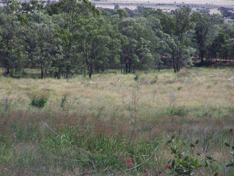 “Allana” 6301 Capricorn Highway, Gogango QLD 4702