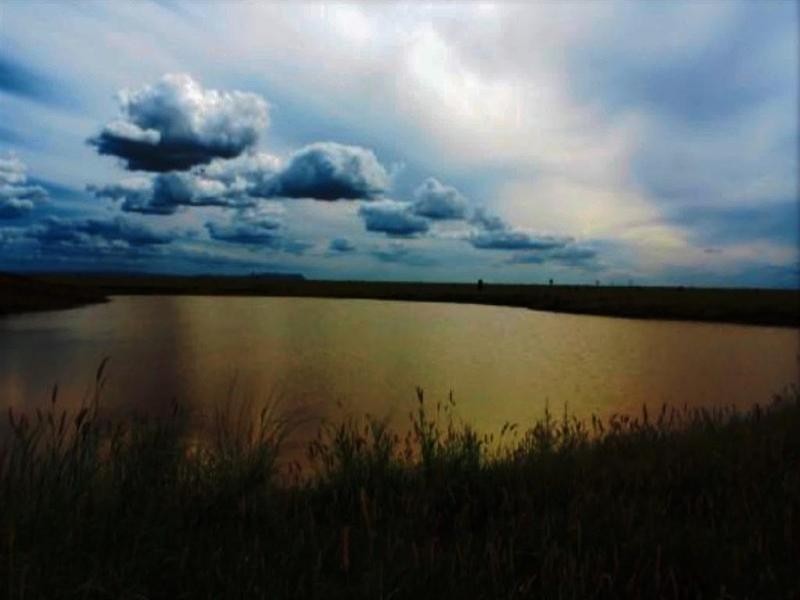 Lucie Station, Woodleys Road, Dingo QLD 4702