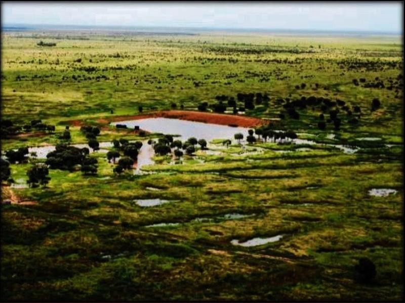 Lucie Station, Woodleys Road, Dingo QLD 4702