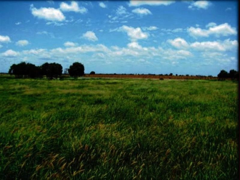 Lucie Station, Woodleys Road, Dingo QLD 4702