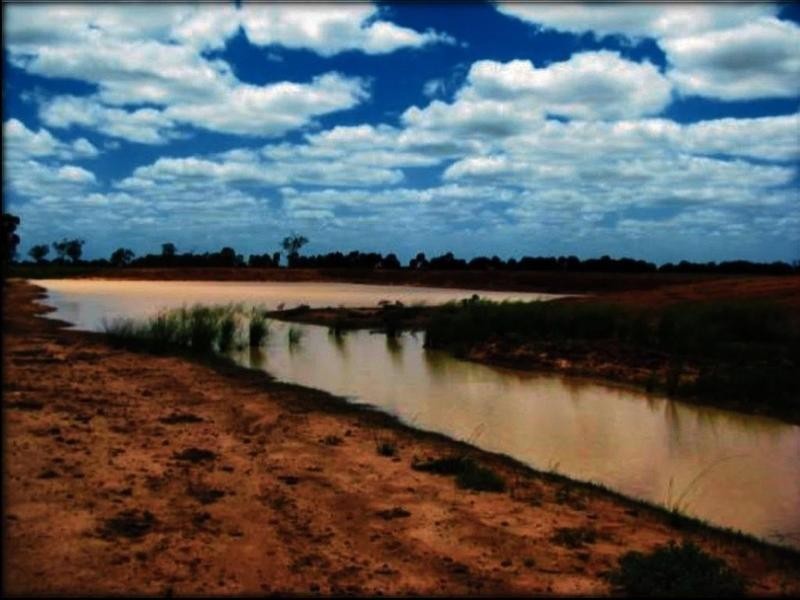 Lucie Station, Woodleys Road, Dingo QLD 4702