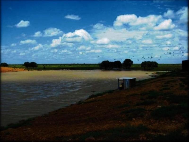 Lucie Station, Woodleys Road, Dingo QLD 4702