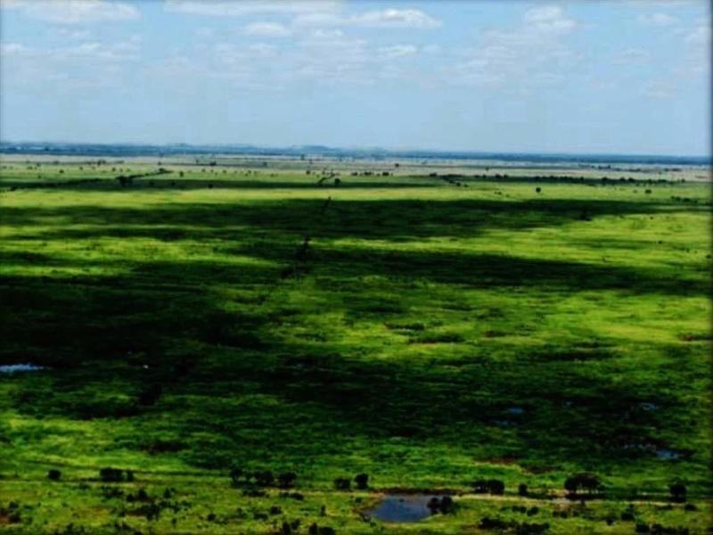 Lucie Station, Woodleys Road, Dingo QLD 4702