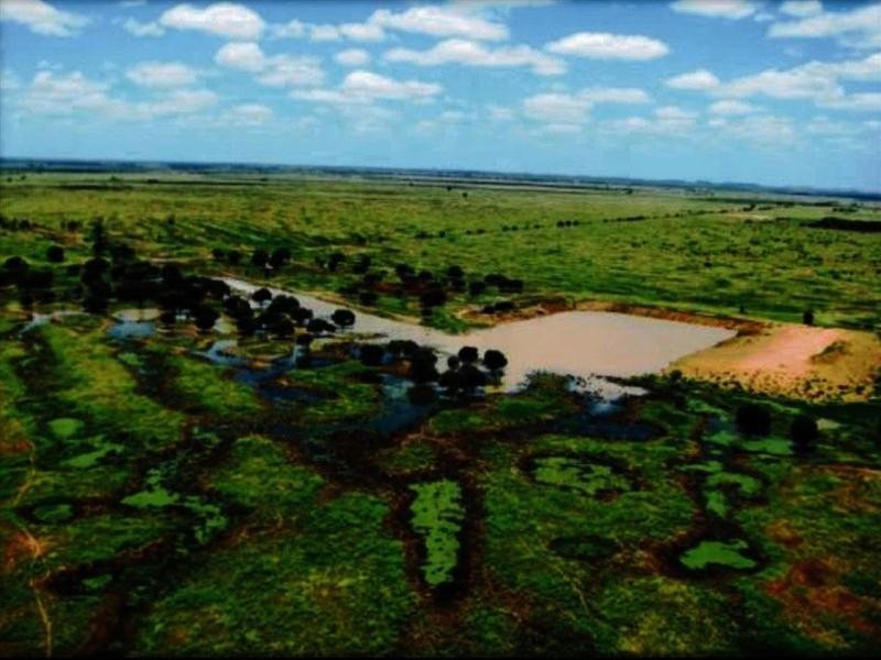 Lucie Station, Woodleys Road, Dingo QLD 4702