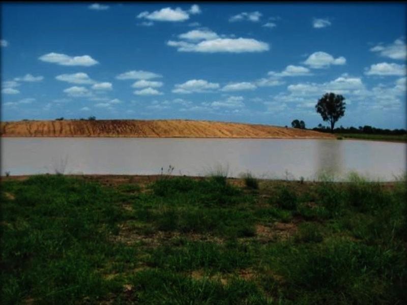 Lucie Station, Woodleys Road, Dingo QLD 4702