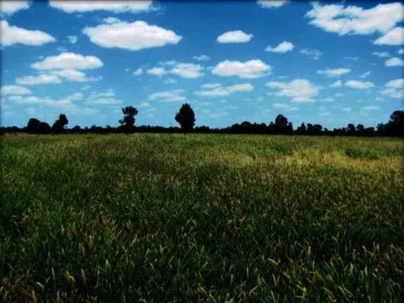 Lucie Station, Woodleys Road, Dingo QLD 4702