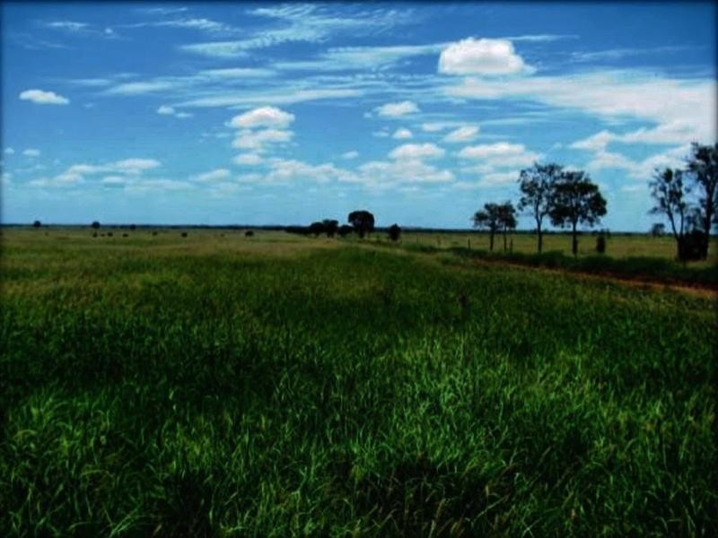 Lucie Station, Woodleys Road, Dingo QLD 4702