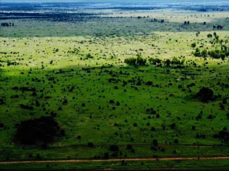 Lucie Station, Woodleys Road, Dingo QLD 4702