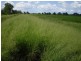 Lot 3 Birrahlee Road, South Yaamba QLD 4702