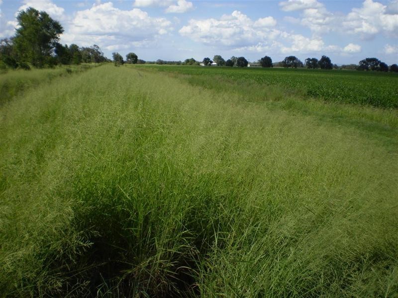 Lot 3 Birrahlee Road, South Yaamba QLD 4702