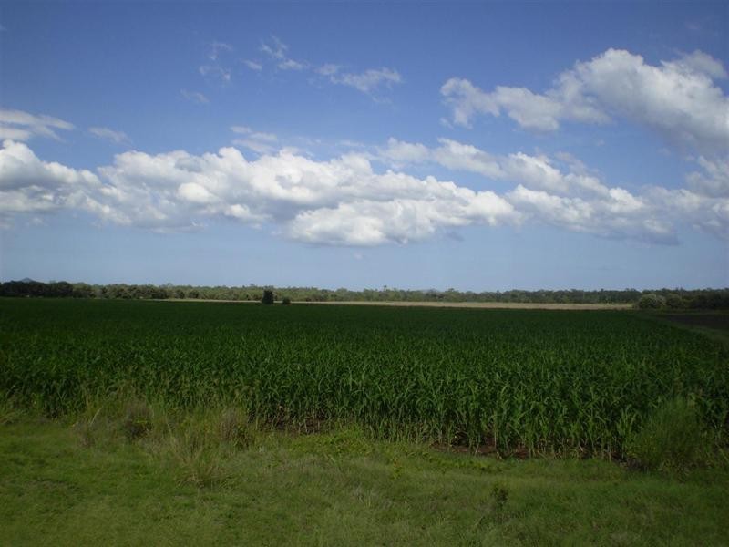 Lot 3 Birrahlee Road, South Yaamba QLD 4702