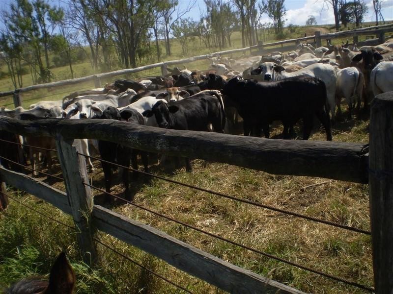 201 Faraday Road, Ridgelands QLD 4702