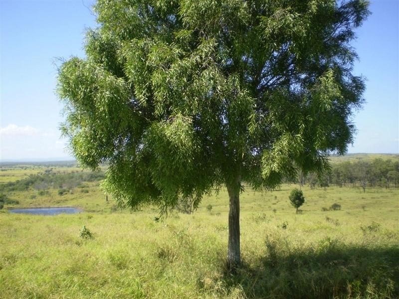 201 Faraday Road, Ridgelands QLD 4702