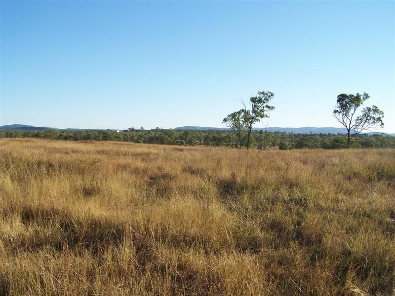 Lot 103 Stanwell-Waroula Road, Alton Downs QLD 4702
