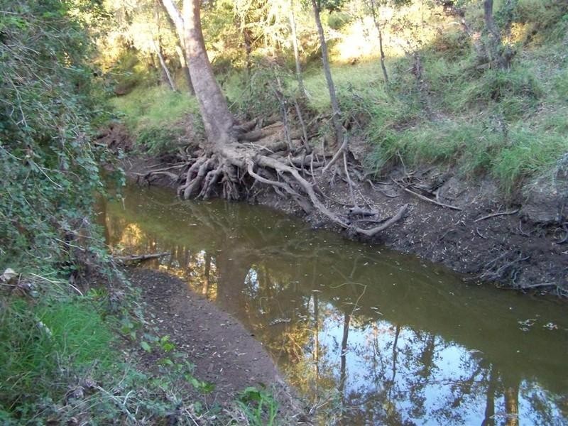 Lot 103 Stanwell-Waroula Road, Alton Downs QLD 4702