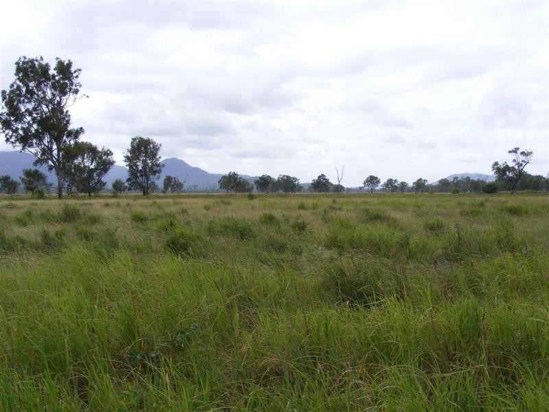 Rockhampton QLD 4700