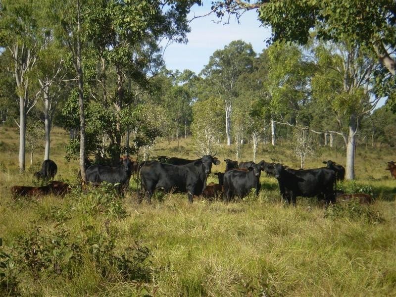 90 Paddys Swamp Road, Yeppoon QLD 4703