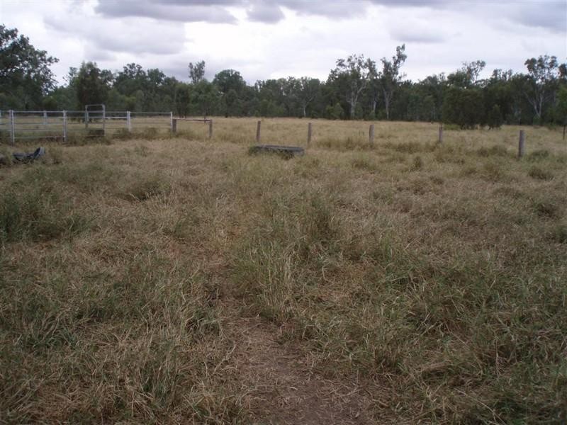 Lot 193 Greendale Road, Wowan QLD 4702