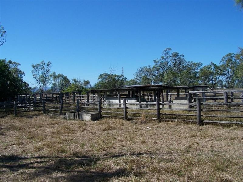 219 Alton Downs Nine Mile Road, Alton Downs QLD 4702