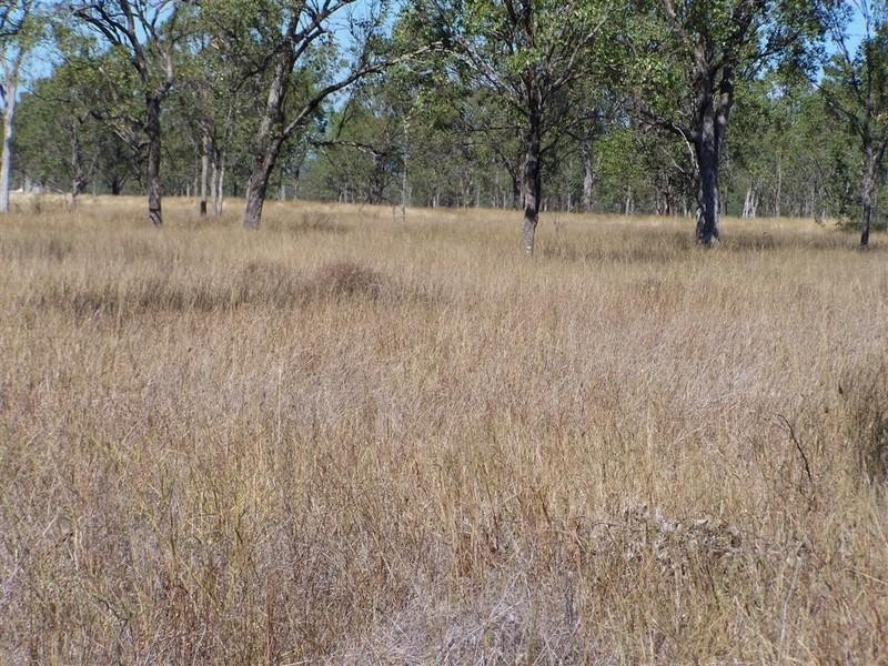 219 Alton Downs Nine Mile Road, Alton Downs QLD 4702