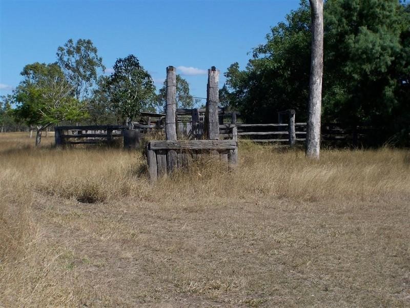 219 Alton Downs Nine Mile Road, Alton Downs QLD 4702