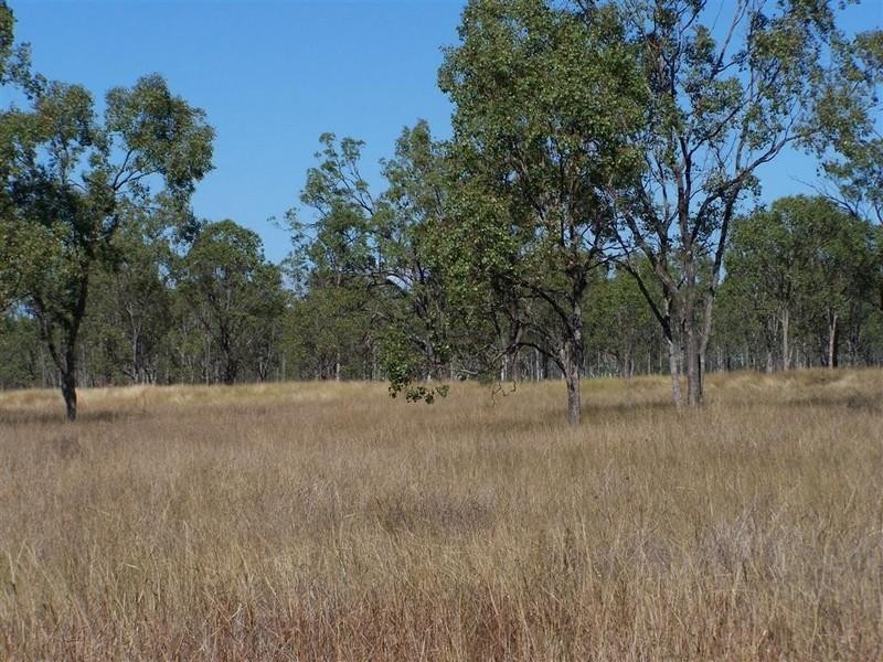 219 Alton Downs Nine Mile Road, Alton Downs QLD 4702