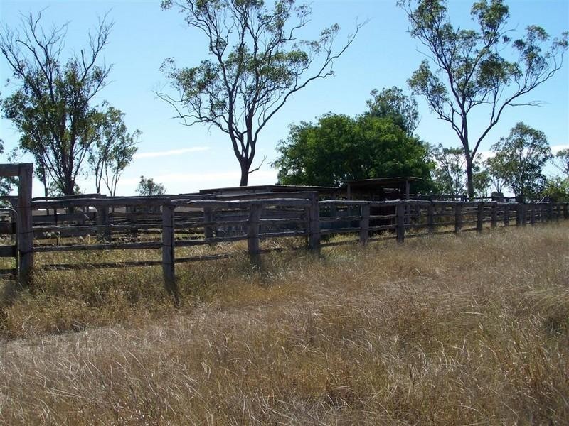 219 Alton Downs Nine Mile Road, Alton Downs QLD 4702